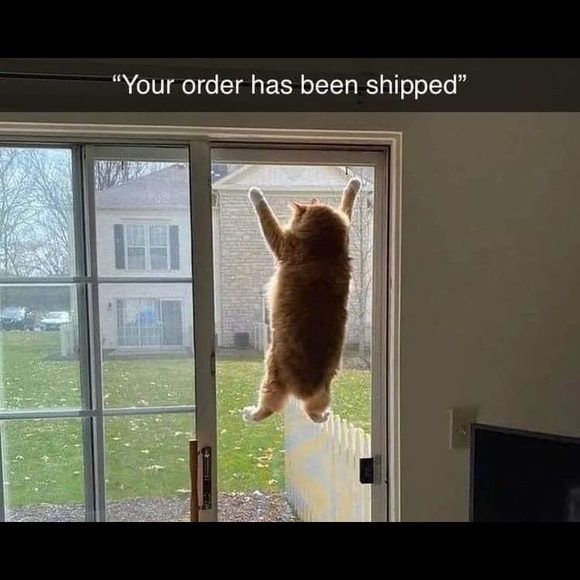 Meet your Posher, Meg - Picture 12 of 12